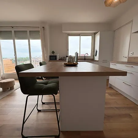 Apartmán Mirabella - Cozy - Wi-fi - Parking Gratuit Pau